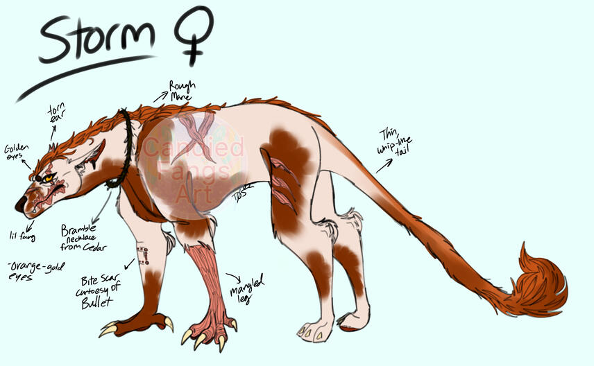 Storm Ref- King Blaze's Soldier